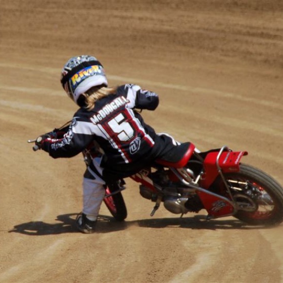 Meet your Posher, Robin - Picture 11 of 16